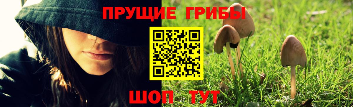 Балтийск  Галлюциногенные грибы Cubensis  Вход с VPN 
